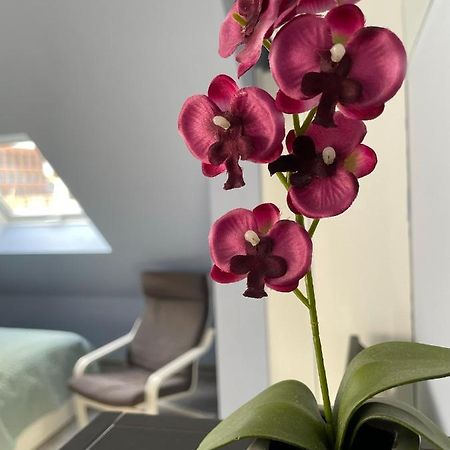 Deluxe Apartment Wiesbaden Eksteriør billede