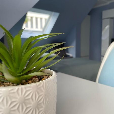 Deluxe Apartment Wiesbaden Eksteriør billede