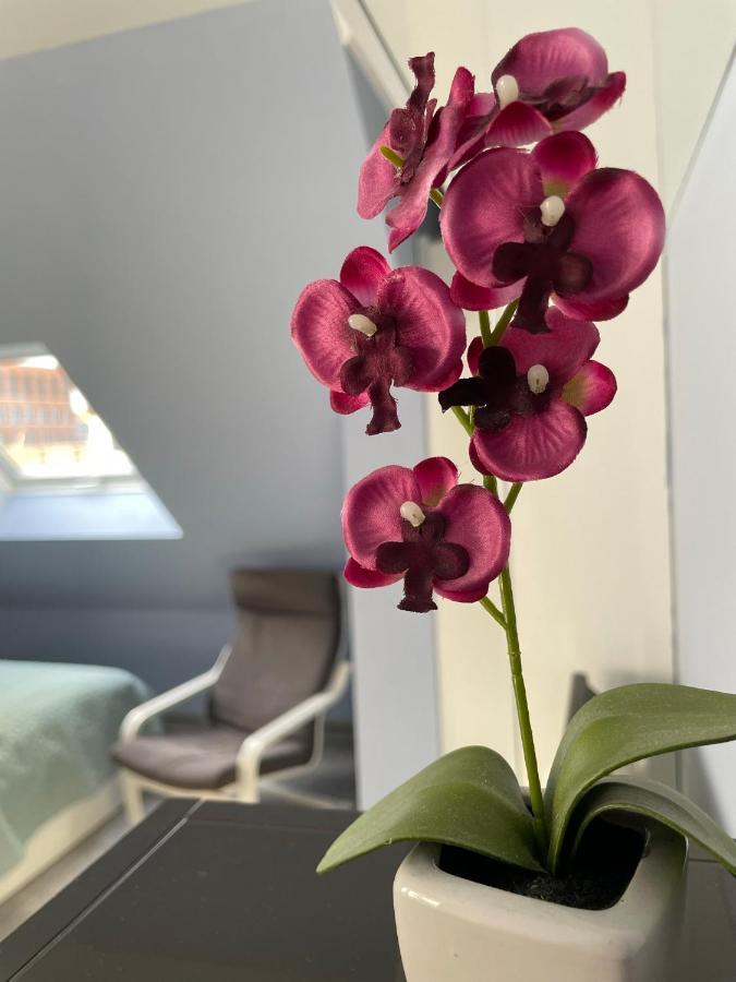 Deluxe Apartment Wiesbaden Eksteriør billede