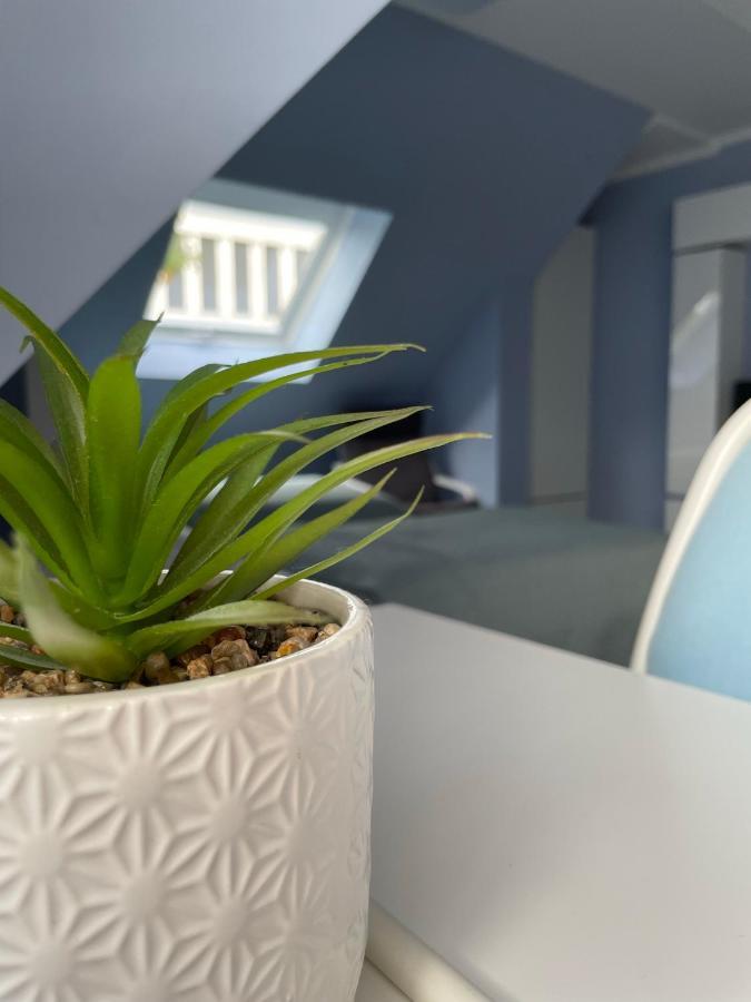 Deluxe Apartment Wiesbaden Eksteriør billede